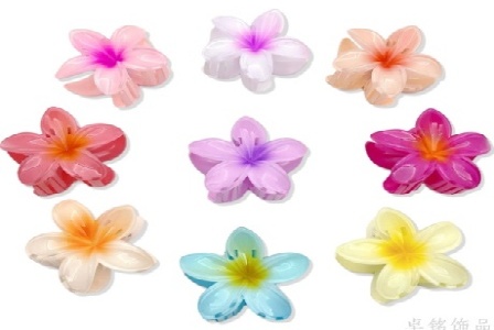 成都勤献食品有限公司形象图