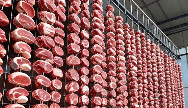 食品生产运输条件中的温度控制与包装设计